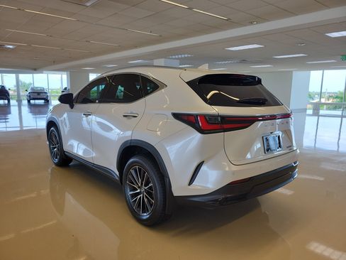 Certified 2024 Lexus NX 350 AWD image 6