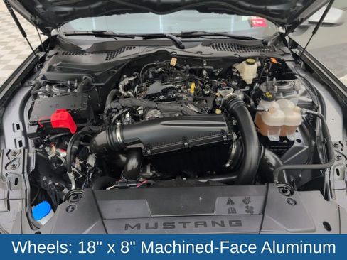 Certified 2024 Ford Mustang Premium image 44