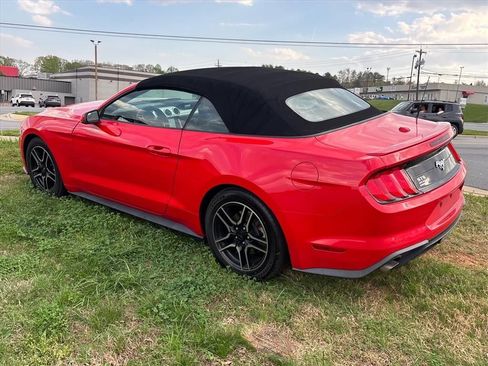 Used 2019 Ford Mustang Premium image 10