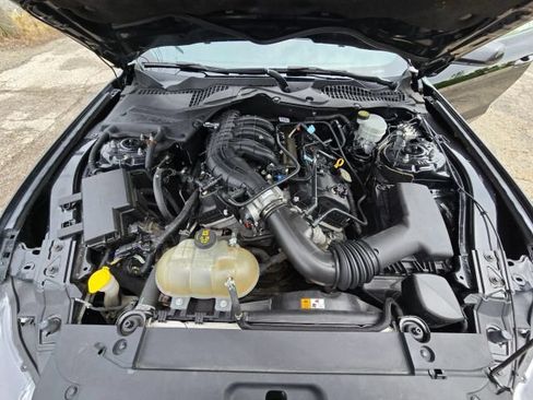 Used 2017 Ford Mustang Coupe w/ Equipment Group 051A RWD image 27