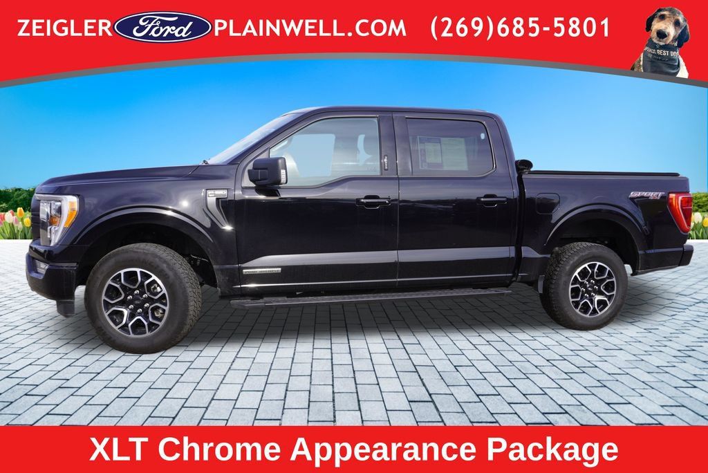 Used 2023 Ford F150 XLT w/ Equipment Group 302A High AWD/4WD image 3