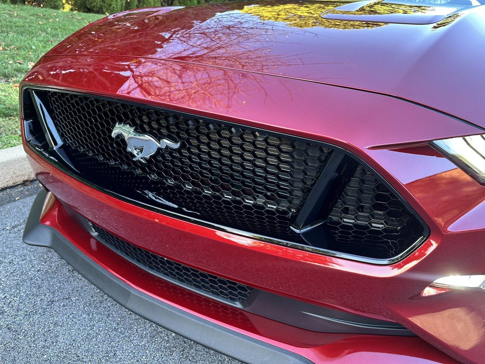 Used 2019 Ford Mustang GT Premium w/ GT Performance Package RWD image 69