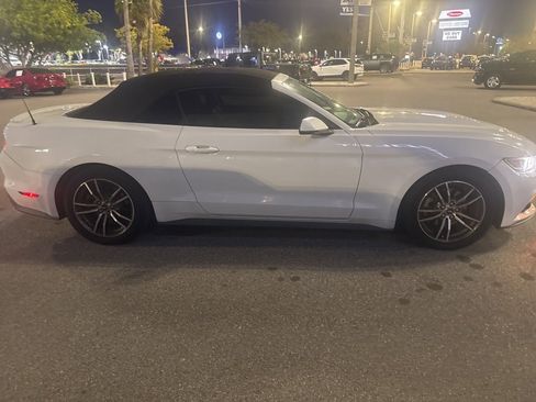 Used 2017 Ford Mustang Premium image 2