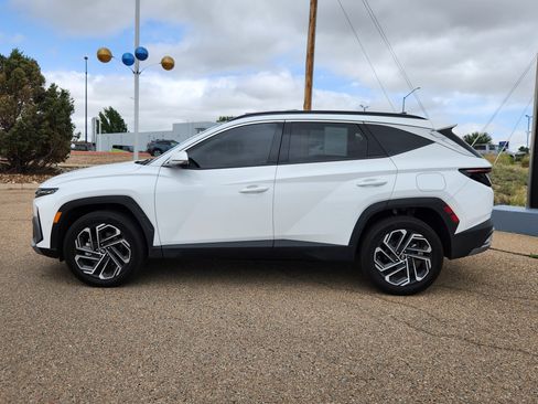 Used 2025 Hyundai Tucson Limited AWD/4WD image 2
