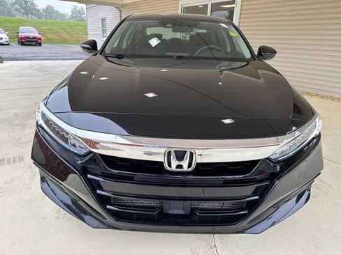 Used 2019 Honda Accord EX image 11