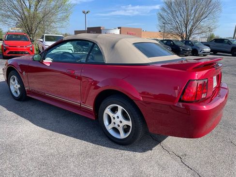 Used 2000 Ford Mustang Convertible image 4