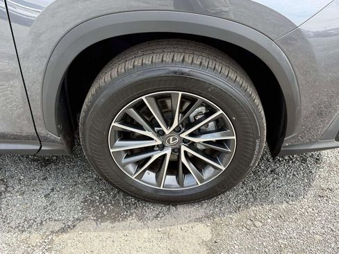 Used 2025 Lexus NX 350h AWD w/ Premium Package image 7