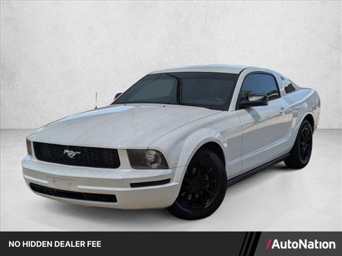 Used 2005 Ford Mustang Premium RWD image 1