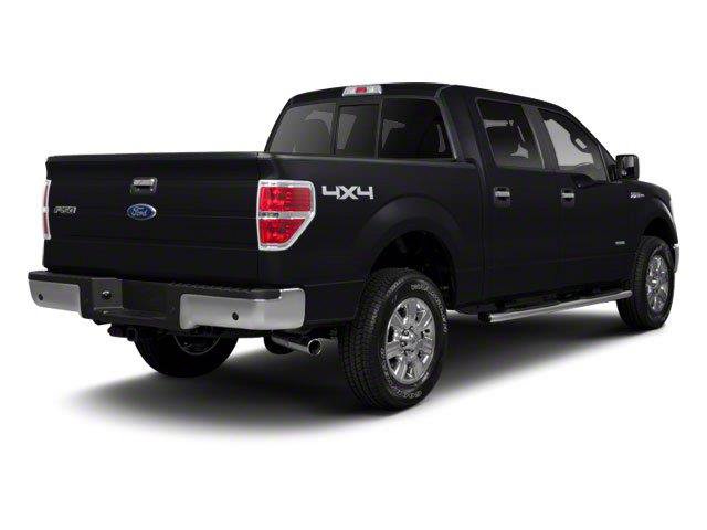 Used 2010 Ford F150 Platinum AWD/4WD image 11
