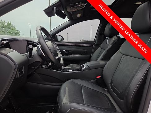 Used 2024 Hyundai Santa Cruz Limited AWD/4WD image 15