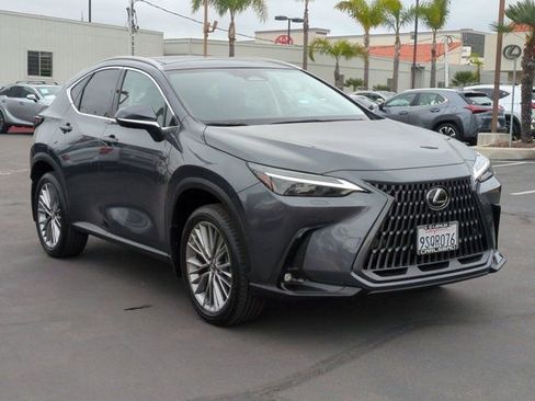 Used 2025 Lexus NX 350h AWD w/ Cold Area Package image 3