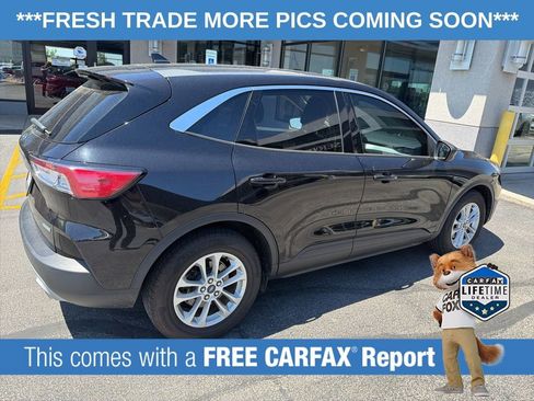 Used 2020 Ford Escape SE FWD image 4