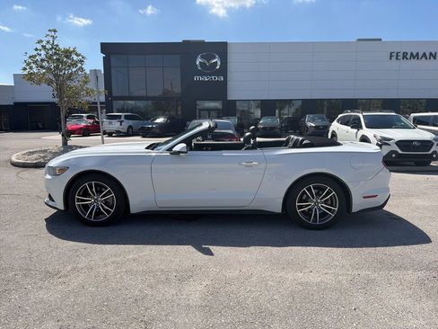 Used 2017 Ford Mustang Premium image 3