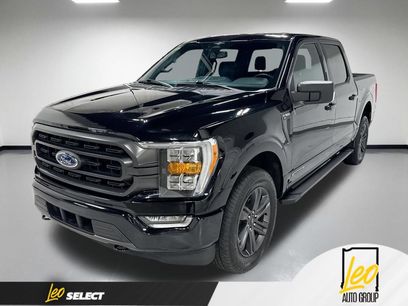 Used 2023 Ford F150 XLT w/ Equipment Group 302A High