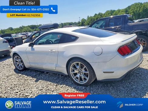 Used 2015 Ford Mustang Premium w/ Equipment Group 201A RWD image 3