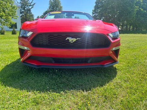 Used 2019 Ford Mustang Premium RWD image 8