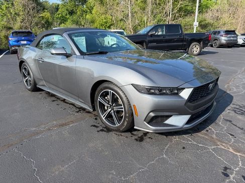 Used 2025 Ford Mustang Premium RWD image 4
