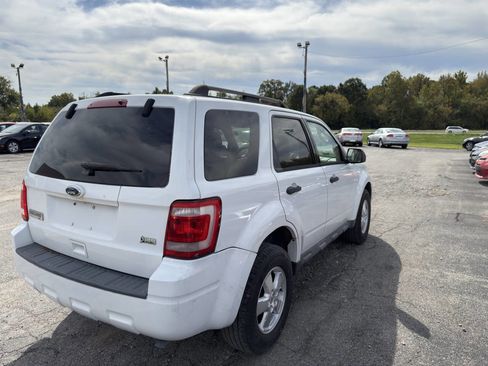 Used 2010 Ford Escape XLT image 4