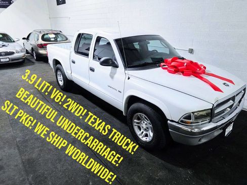 Used 2002 Dodge Dakota SLT RWD image 1