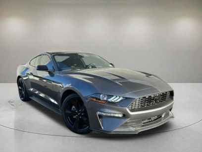 Certified 2023 Ford Mustang Coupe w/ Equipment Group 101A