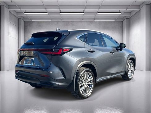 Used 2025 Lexus NX 350h AWD w/ Premium Package image 3