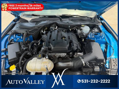 Used 2019 Ford Mustang Coupe w/ Equipment Group 101A RWD image 31