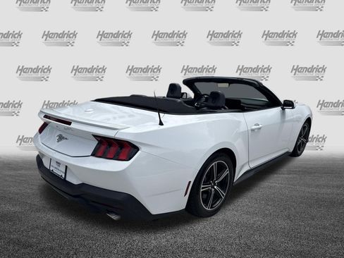 Used 2024 Ford Mustang Premium RWD image 9