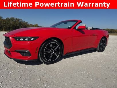 Used 2024 Ford Mustang Premium