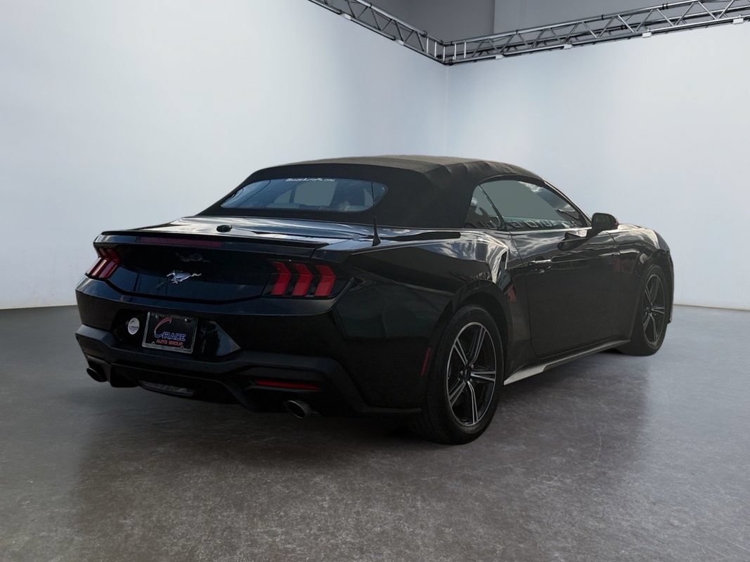 Used 2024 Ford Mustang Premium RWD image 6