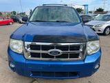 Used 2011 Ford Escape XLT w/ 202A Rapid Spec Order Code image 3