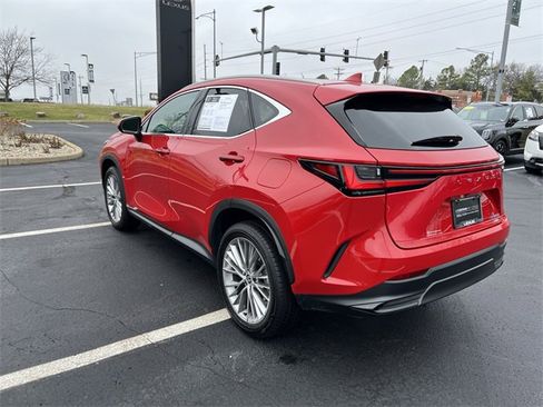 Used 2025 Lexus NX 350h AWD w/ Premium Package image 5