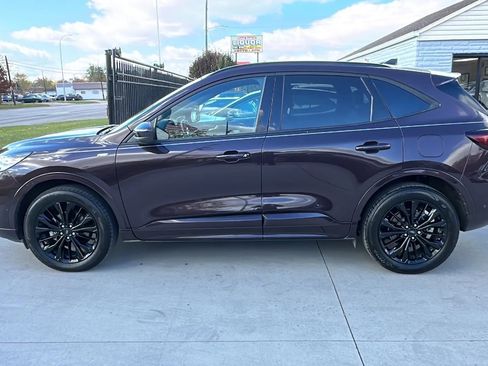 Used 2023 Ford Escape ST-Line Elite w/ Premium Technology Package image 8