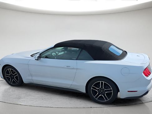 Used 2018 Ford Mustang Premium RWD image 7