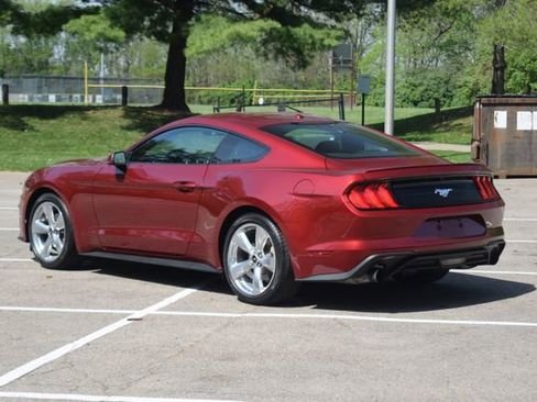 Used 2019 Ford Mustang Premium w/ Equipment Group 201A RWD image 21