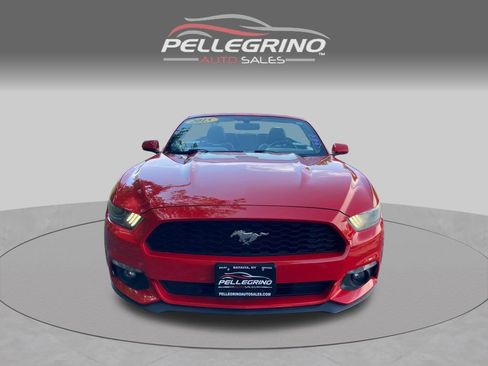 Used 2015 Ford Mustang Premium RWD image 10