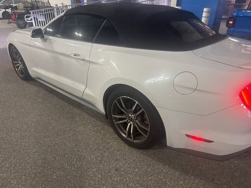 Used 2017 Ford Mustang Premium image 4