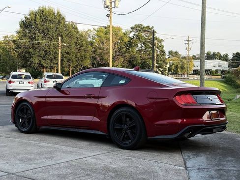 Used 2020 Ford Mustang Coupe RWD image 4