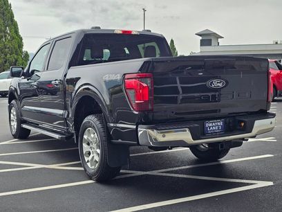 Used 2025 Ford F150 XLT w/ Equipment Group 301A Standard