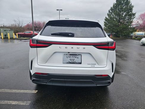 Used 2025 Lexus NX 350 AWD w/ Cold Area Package image 6