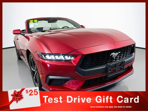 Used 2024 Ford Mustang Premium RWD image 1