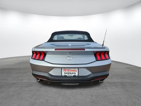 Used 2025 Ford Mustang Premium image 6