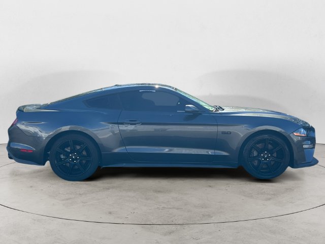 Used 2019 Ford Mustang GT w/ Equipment Group 301A RWD image 4