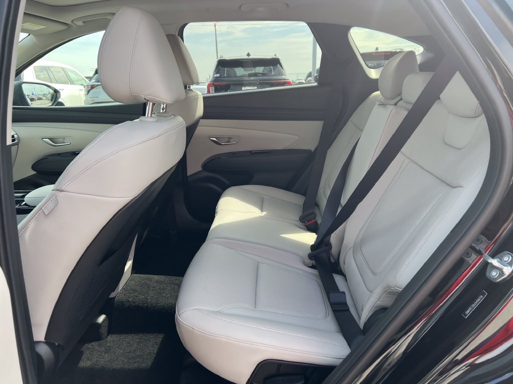 Used 2025 Hyundai Tucson Limited AWD/4WD image 14