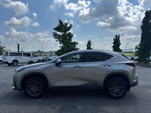 Used 2024 Lexus NX 350 AWD w/ Cold Area Package image 17