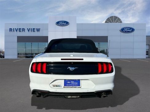 Certified 2022 Ford Mustang Premium image 5
