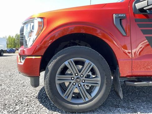 Used 2023 Ford F150 XLT w/ Equipment Group 302A High AWD/4WD image 11