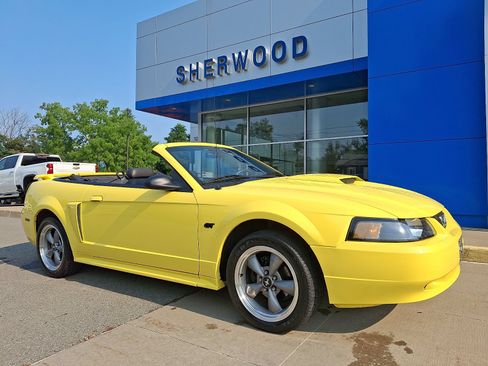 Used 2002 Ford Mustang GT RWD image 1