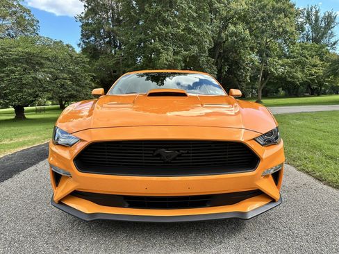 Used 2019 Ford Mustang Coupe w/ Ecoboost Performance Package RWD image 3
