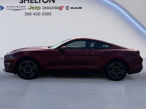 Used 2019 Ford Mustang Coupe w/ Equipment Group 101A image 2