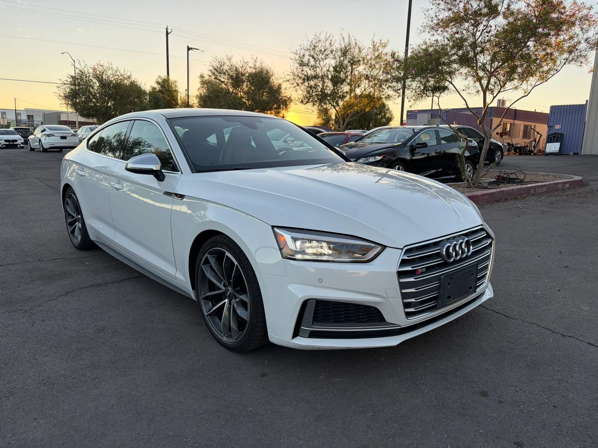 Used 2019 Audi S5 Premium Plus w/ Premium Plus AWD/4WD image 2